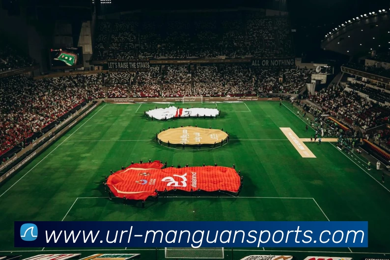 满贯体育APP 封面图